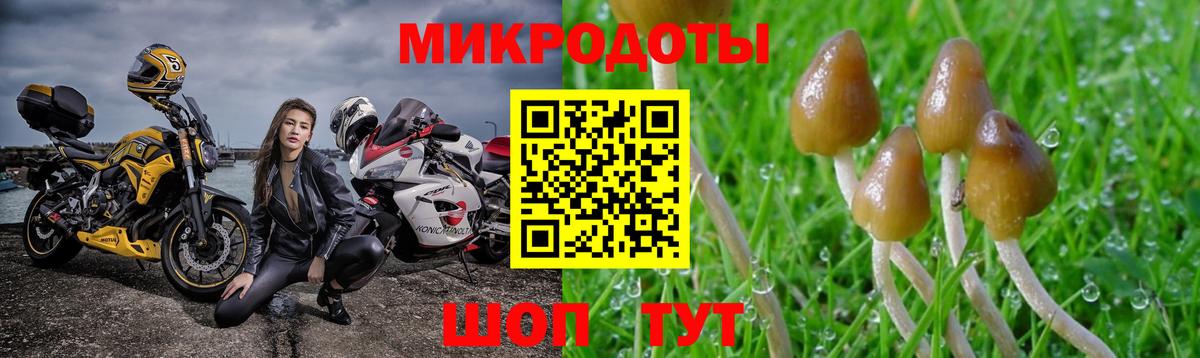 Псилоцибиновые грибы ЛСД Усть-Кут